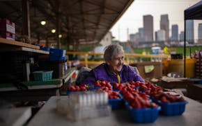 Pat Patnode gathers strawberries for customers at the Minneapolis Farmers Market on Sunday June 1, 2025. Pat has worked at the market for more than 50