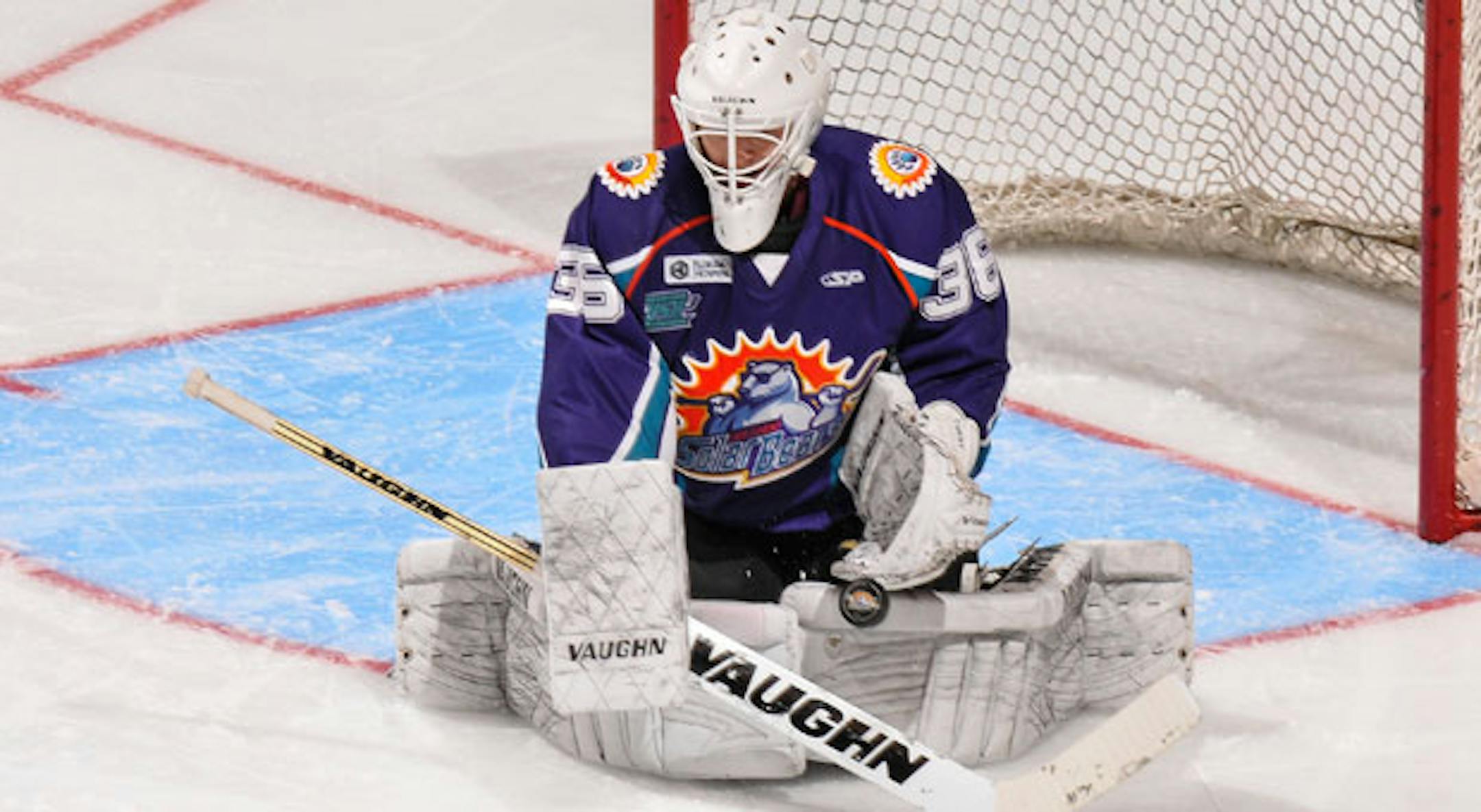 The Wild has torn up goalie John Curry's two-way American Hockey League contract with the Iowa Wild and signed the former Breck School product to a two-way NHL contract.