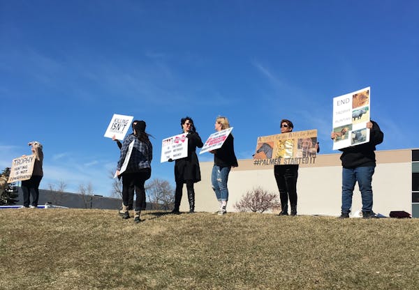 Protesters held up signs Saturday outside the annual convention of Safari Club International in Brooklyn Park.