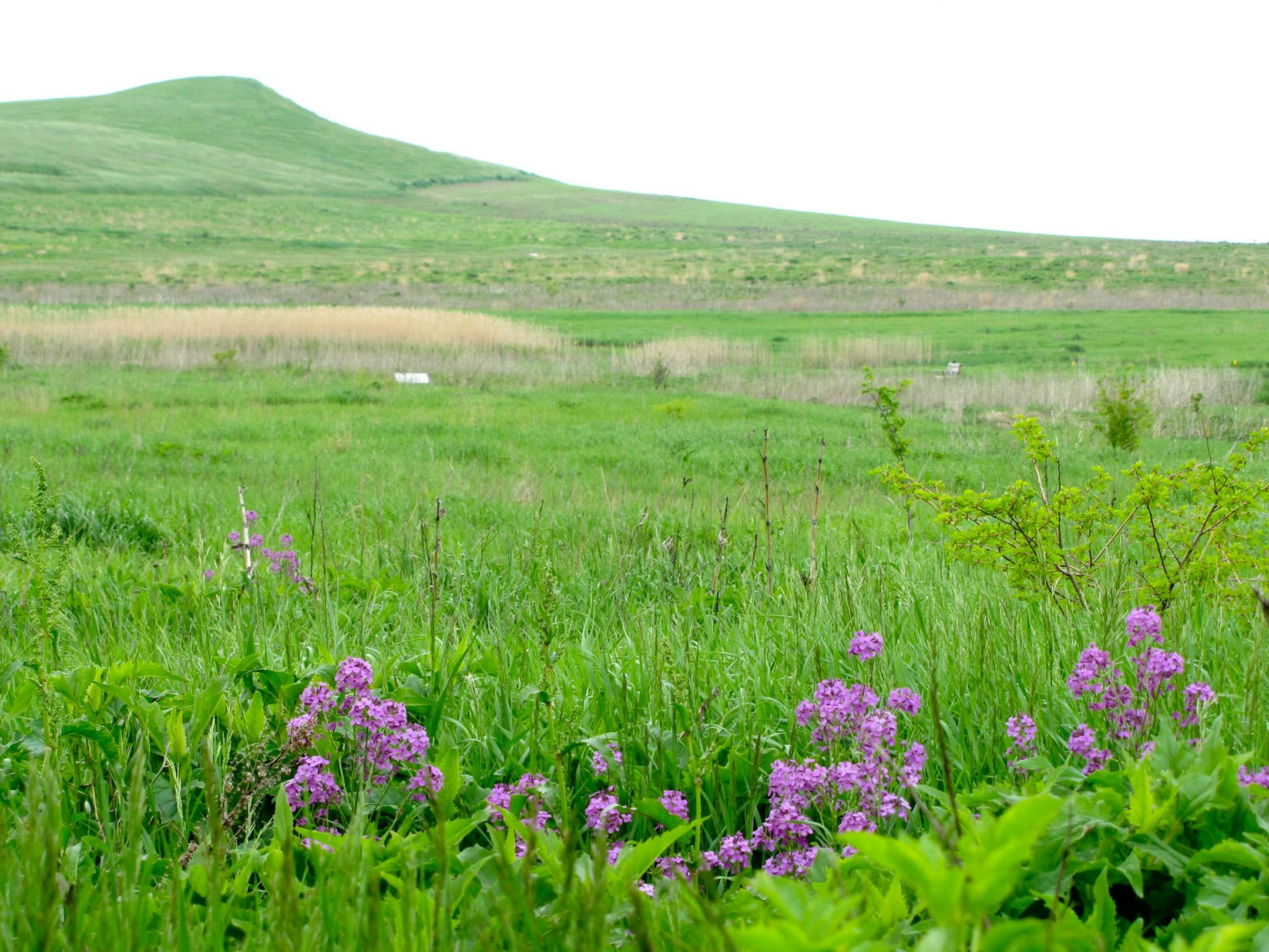 Spirit Mound. Photo by Lisa McClintick
