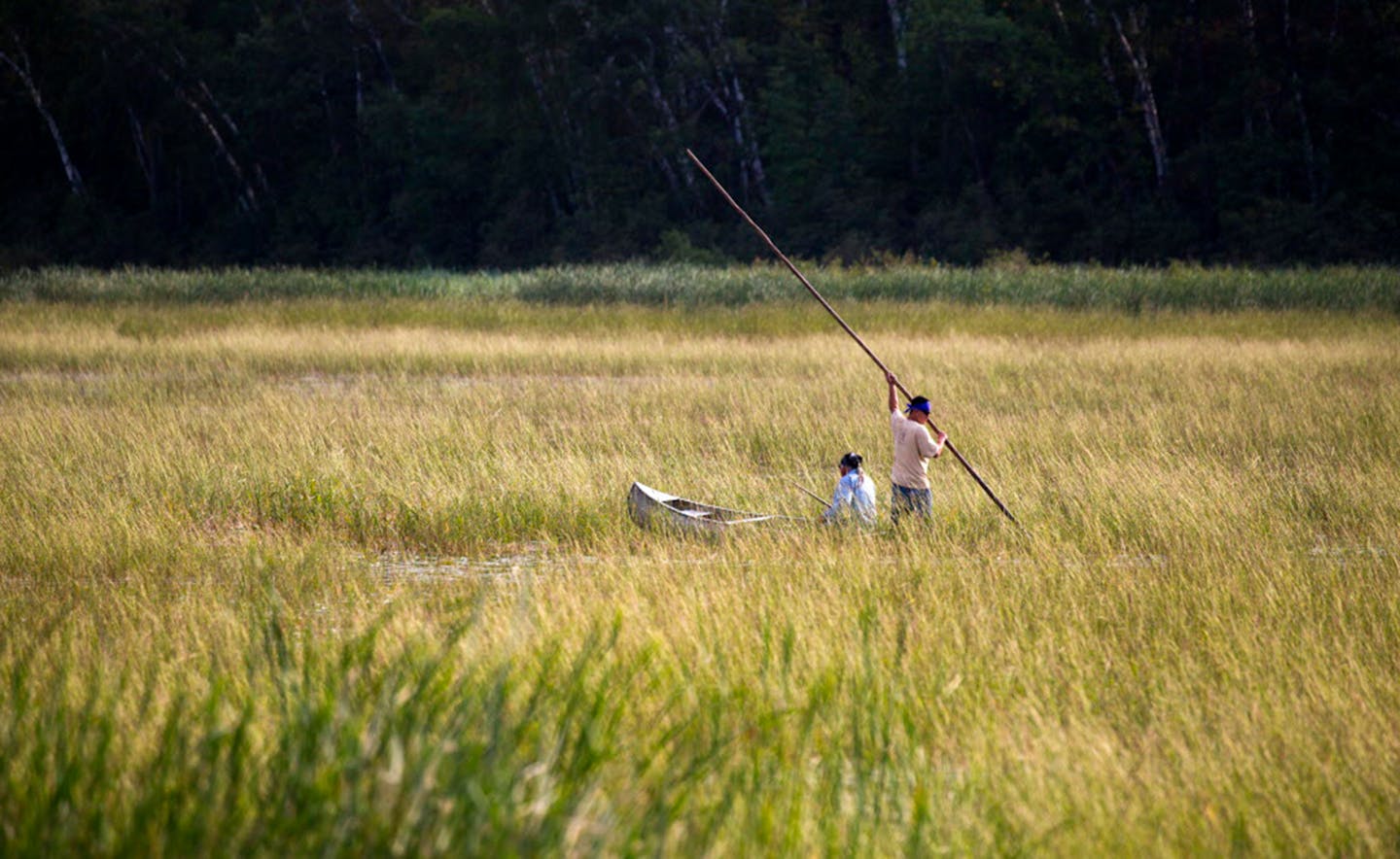 Determining citizenship Minnesota Chippewa face historic blood