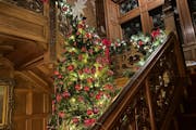 A tree that nearly reaches the second floor is among the holiday decorations at Glensheen.