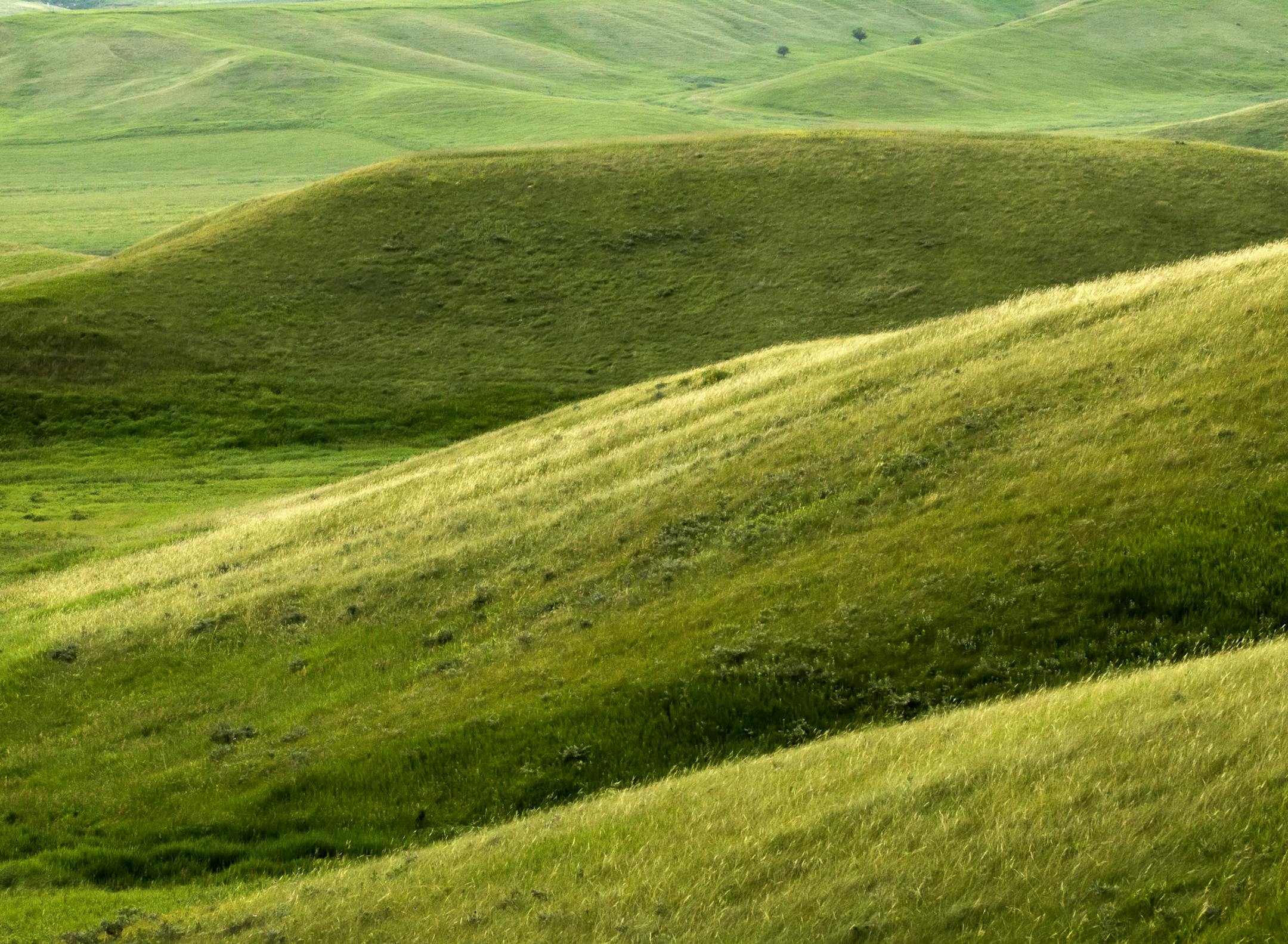 The steep slopes and valleys of the Hole in the Mountain prairie south of Lake Benton are home to more that 200 species of wildflowers and 60 different grasses, sedges and rushes. Native Americans who passed through the half mile wide valley called it "Hole in the Mountain" or "Mountain Pass." ] Minnesota State of Wonders - Summer on the Prairie. BRIAN PETERSON ï brian.peterson@startribune.com Lake Benton, MN 08/02/14