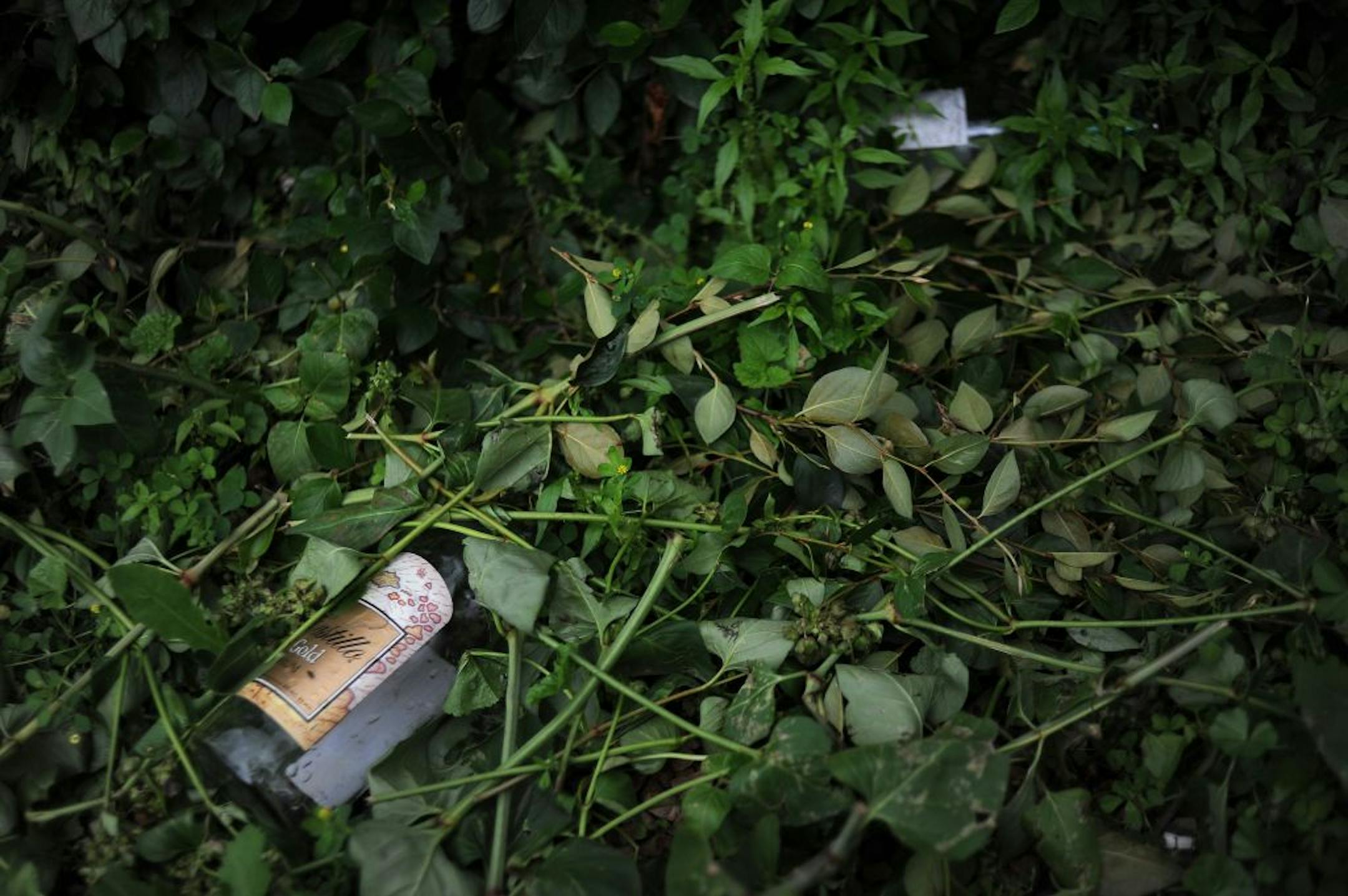Empty liquor bottles littered the ground outside the building, which is near the Third Precinct. Police confiscated drugs and guns, cited 75 people with misdemeanors and booked 12 other patrons.