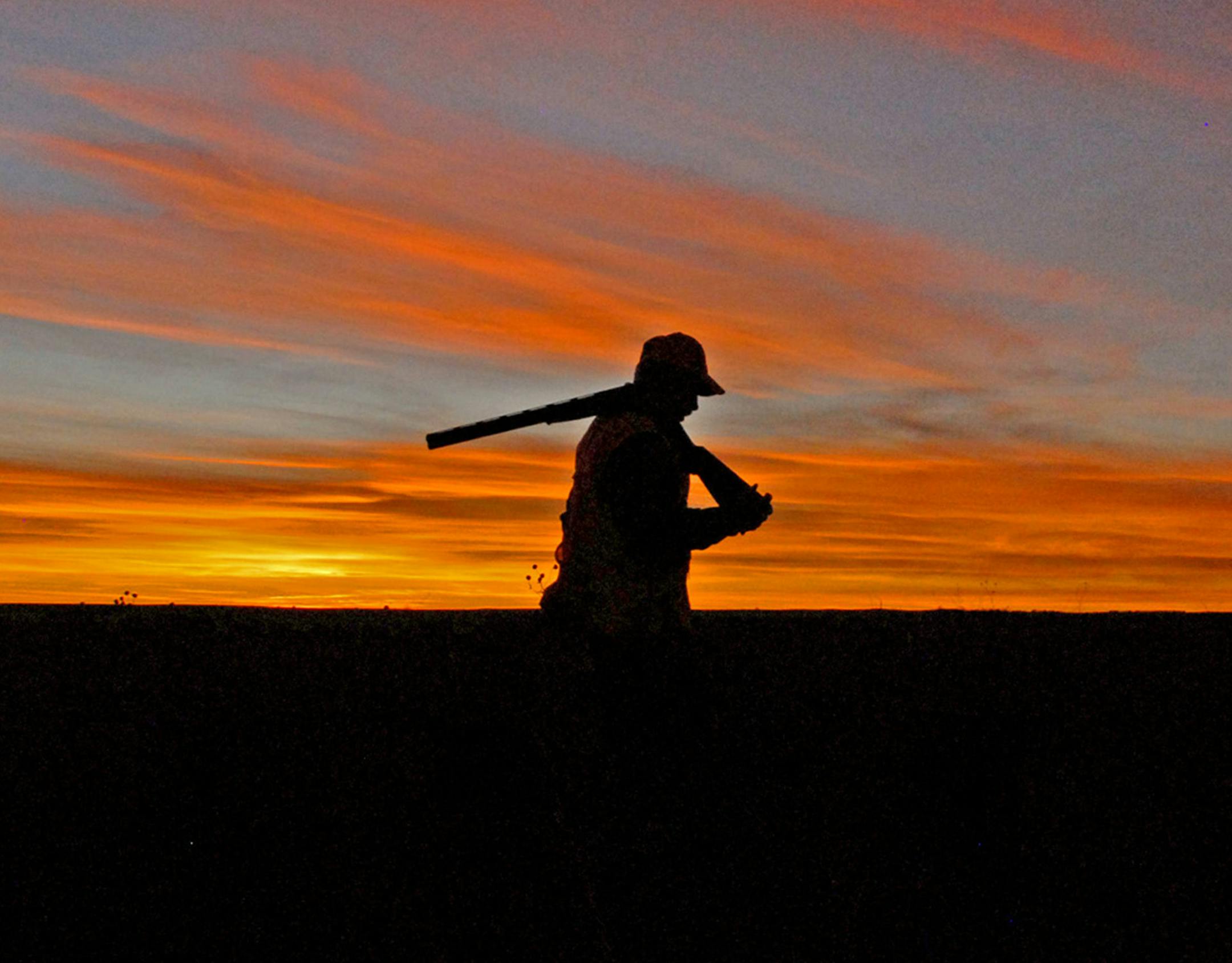 Pheasant hunting in South Dakota.