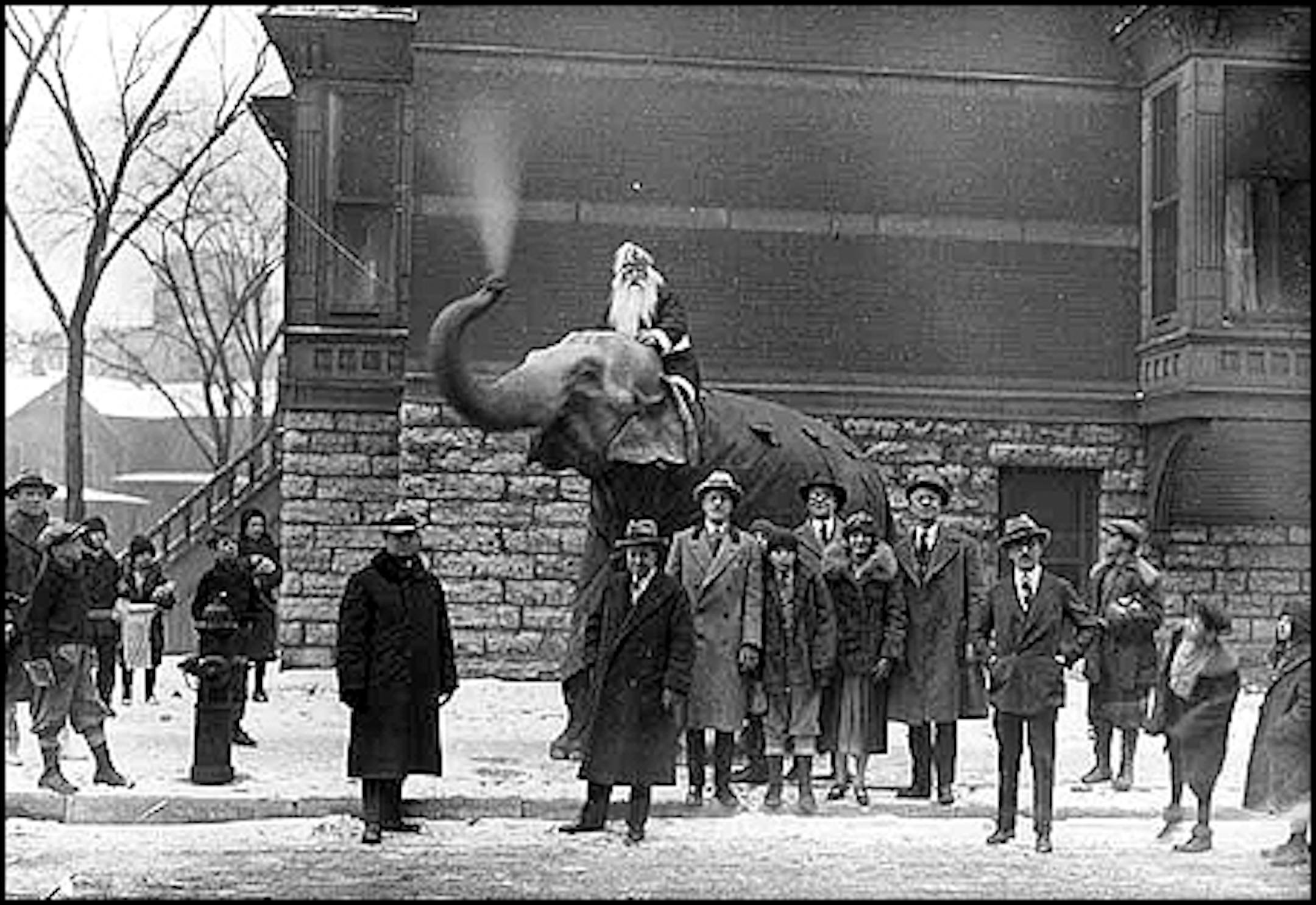 Santa on ... an elephant? The year was about 1925. The location: unknown, but likely Minneapolis or St. Paul.
