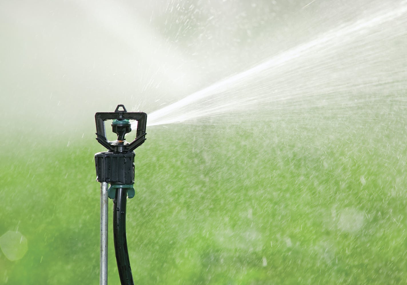 Lawn sprinkler.