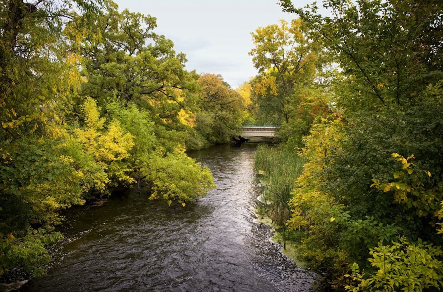 Minnehaha Creek in Hopkins. The Minnehaha Creek Watershed District recently bought an apartment building and has purchase agreements for others in the area which will be demolished to provide parkland around the creek.