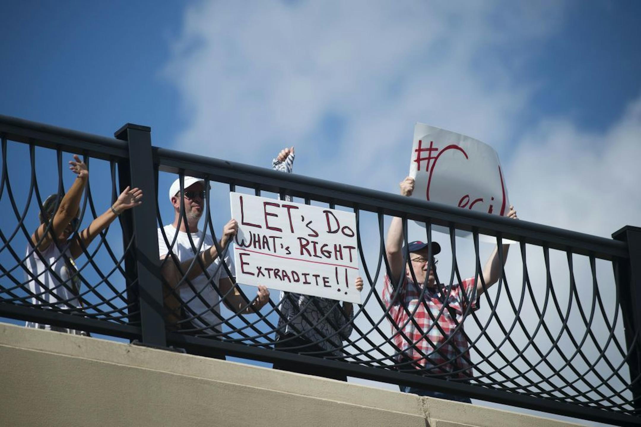 People protested against Dr. Walter J. Palmer, the dentist who killed Cecil the lion, on the 46th Street overpass in Minneapolis, Minn. on Friday August 7, 2015.