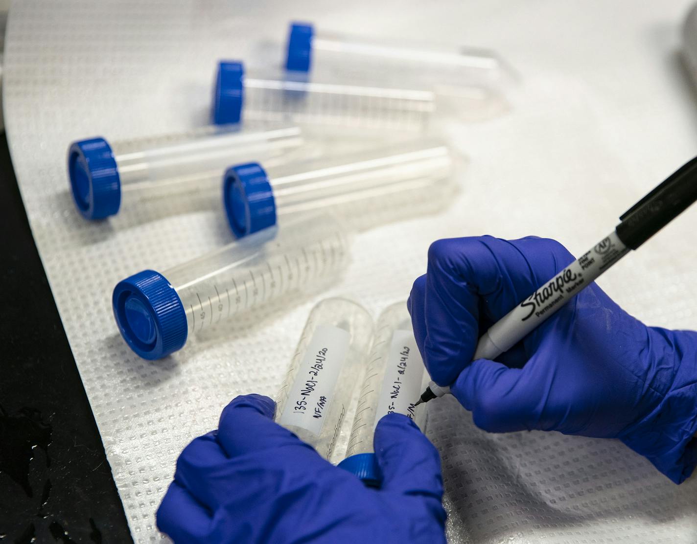 Katie Cassidy, a masters student in water resources science, labeled vials for water testing in a lab at the Natural Resource Research Institute on Monday afternoon. ]
ALEX KORMANN &#x2022; alex.kormann@startribune.com University of Minnesota Duluth researchers are partnering with the DOT and DNR to look at chemicals that could be more environmentally friendly and effective than salt when treating winter roads. Researchers went out testing water runoff in Lake Superior and along Tischer Creek in