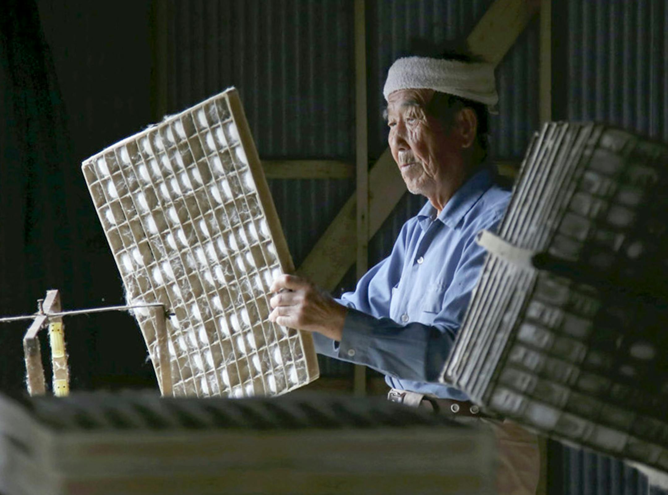 Kiichi Shiraishi, 82, removes silkworms that made poor cocoons in Annaka, Japan. Illustrates JAPAN-SILK (category i), by Ryuzo Suzuki © 2014, The Yomiuri Shimbun. Moved Friday, Oct. 31, 2014. (MUST CREDIT: Ryuzo Suzuki/The Yomiuri Shimbun.)