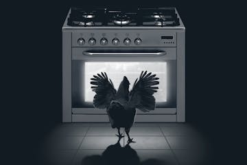 Poultrygeist: The nightly what's-for-dinner horror, playing in kitchens everywhere