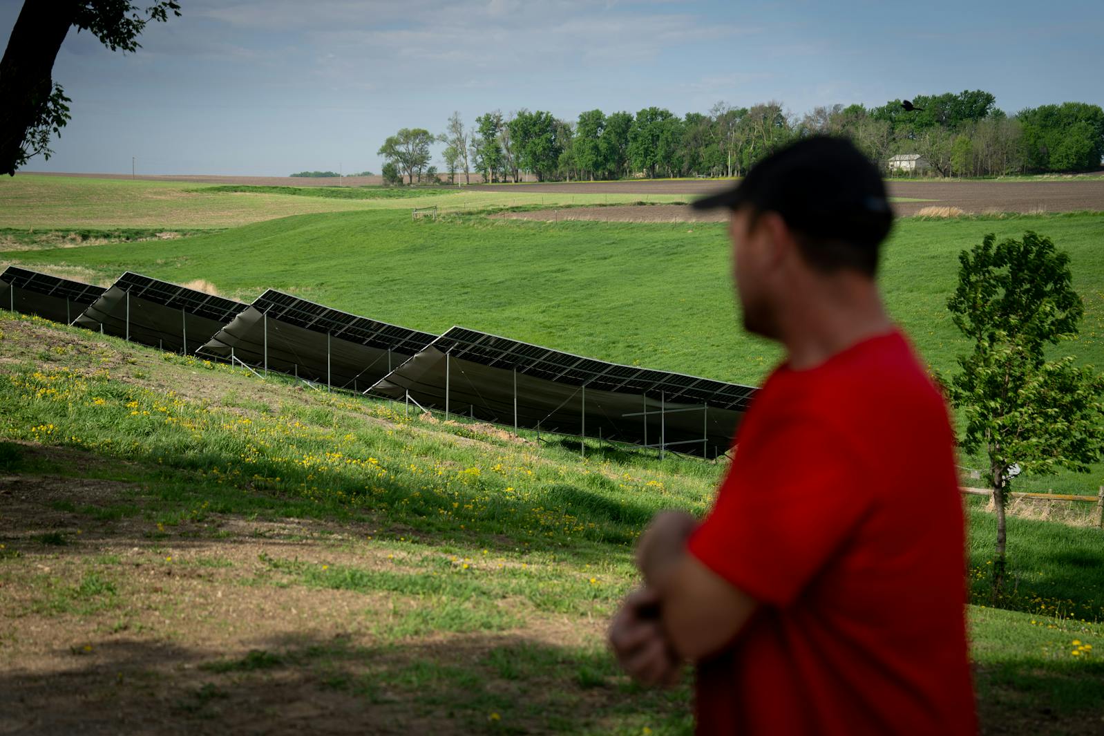 Ben Johnson looks over at the solar panels he had installed on his family farm near Kenyon, Minn. The budget bill phases out tax credits for climate and clean energy projects.