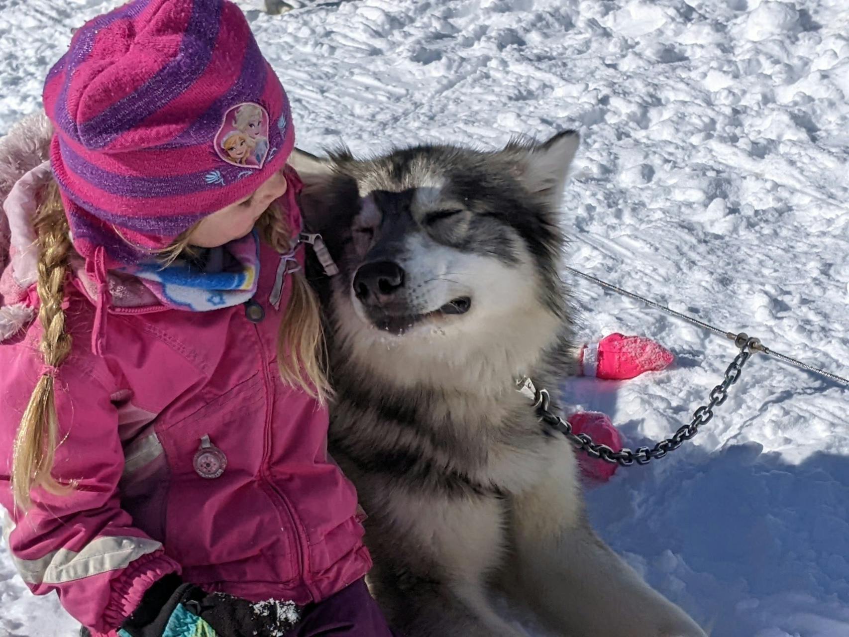 At Points Unknown, dog sledding experiences end with a little cuddle time.