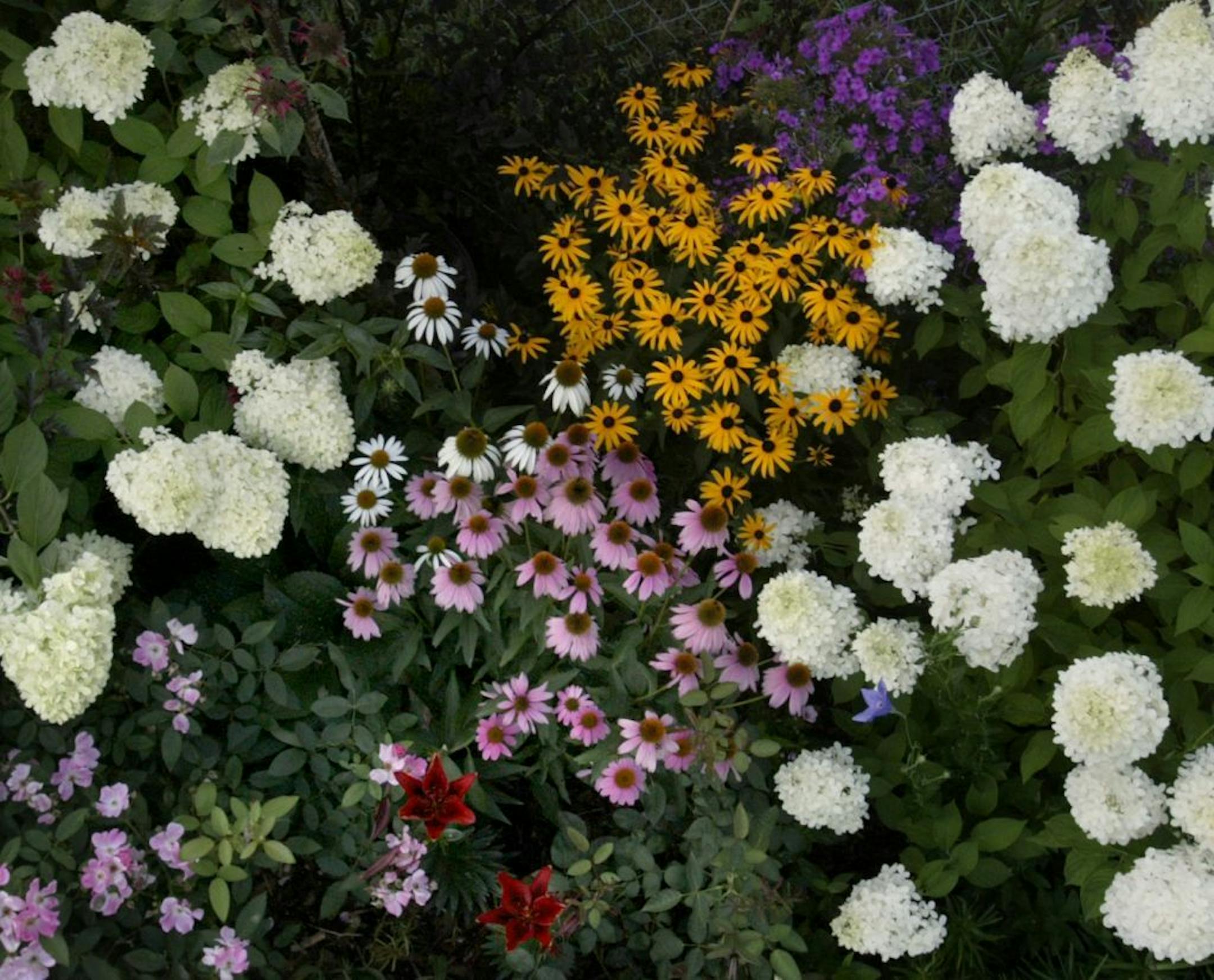 Joel Koyama�jkoyama@startribune.com Lisa Willaims cutting garden in White Bear Lake.