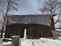Tarps covered up parts of the north barn built 150 years ago by Swedish immigrant Andrew Peterson in Waconia Min., Friday, March 2, 2012. ] (KYNDELL H