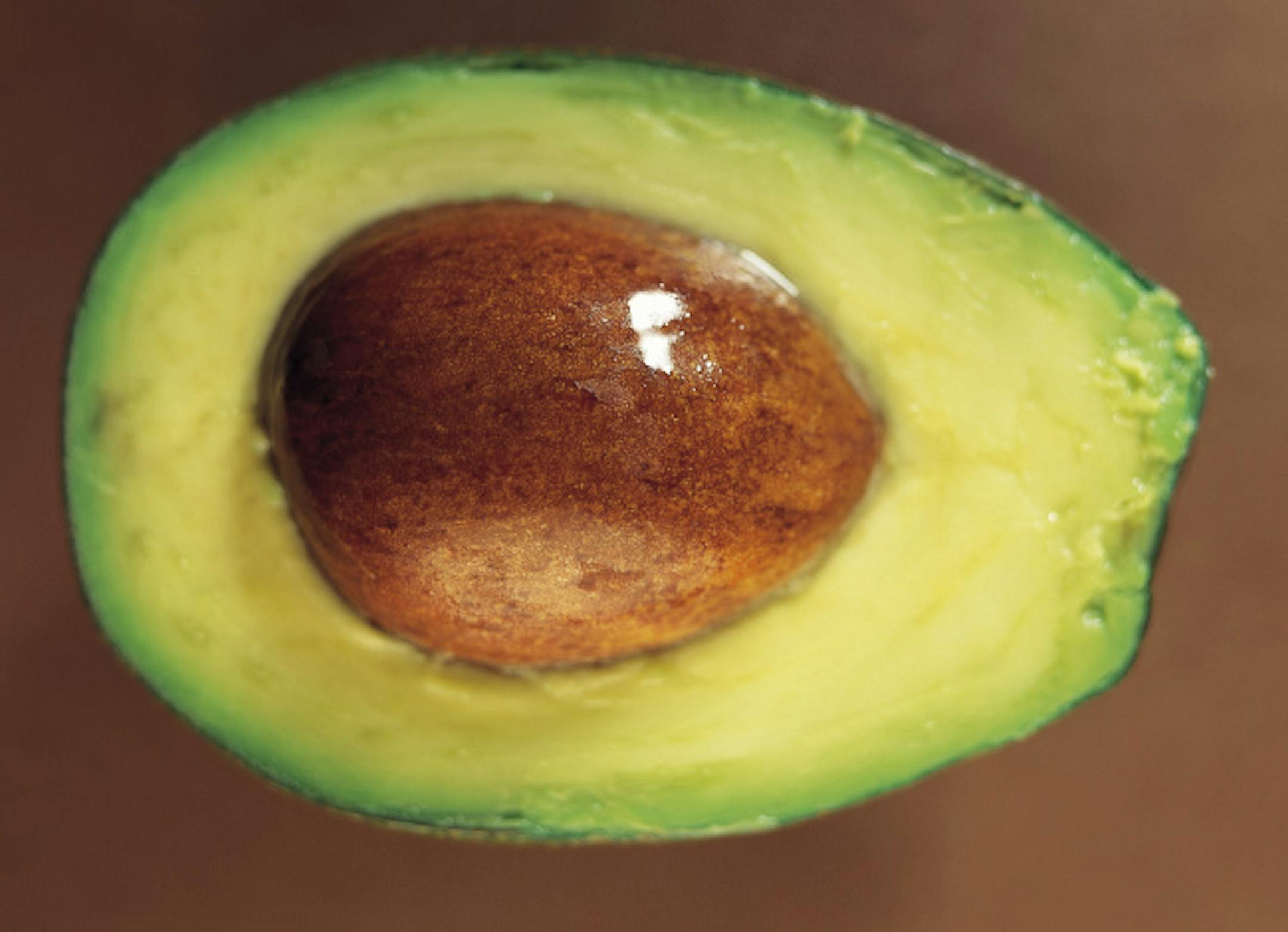 avocado