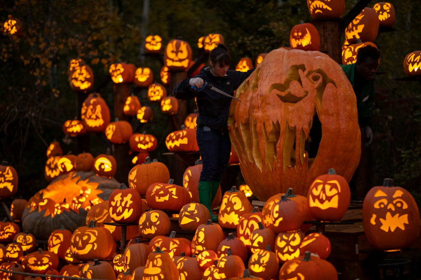 As darkness fell, Andrea Goldberg finished up carving a giant pumpkin.