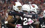 Cardinals wide receiver Larry Fitzgerald Jr. (11) celebrated a touchdown against Tampa Bay by his new teammate, running back Adrian Peterson, during t
