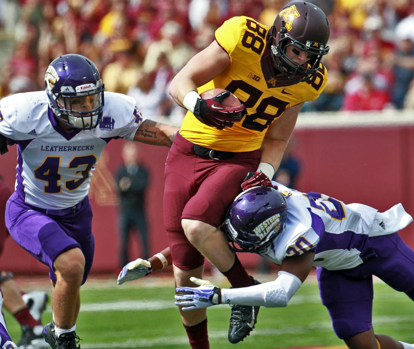 Minnesota Gophers vs. Western Illinois Leathernecks football. Gophers receiver Maxx Williams picked up extra yards after a first half reception. (MARLIN LEVISON/STARTRIBUNE(mlevison@startribune.com) ORG XMIT: MIN1309141554443025