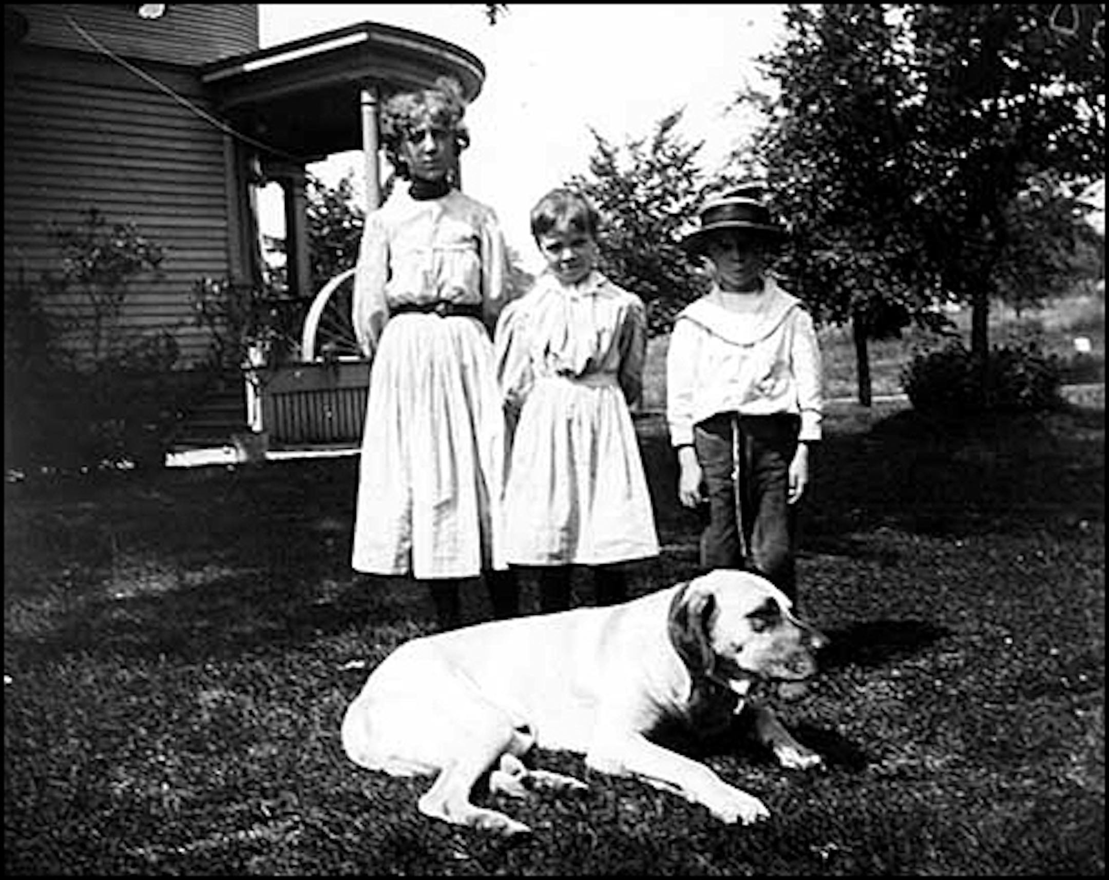 Dog on Queen Avenue S. in about 1900