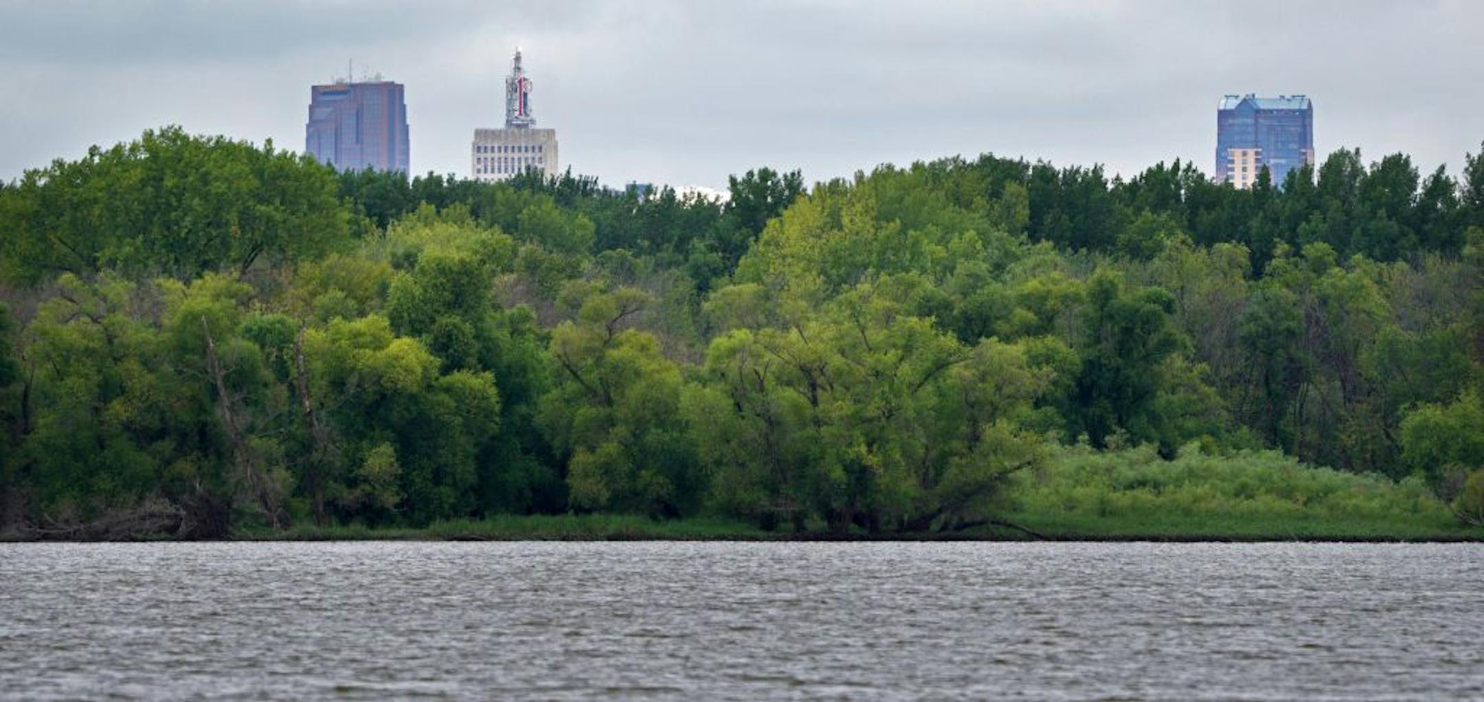 With downtown St. Paul barely visible, Pigs Eye Lake is the largest public green spaces in St. Paul you've probably never heard of or visited. A backwater of the Mississippi, and the 500+ acre adjacent park will now get a multimillion-dollar rehab thanks to city, county and federal dollars. The first work to be done: $12 million to build a series of islands to improve water habitat.