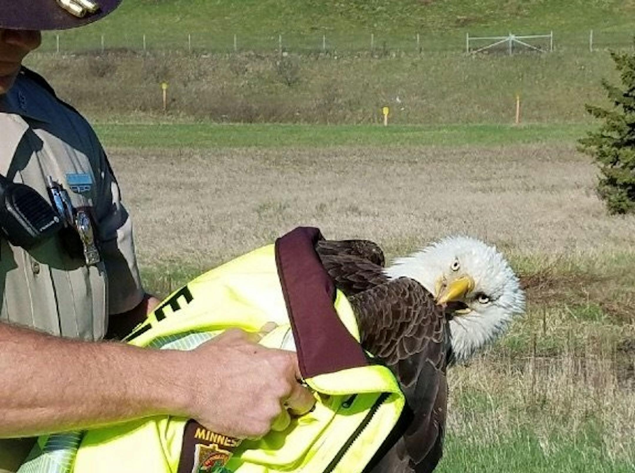 Trooper Paul Kingery had a firm grip on the injured eagle.
