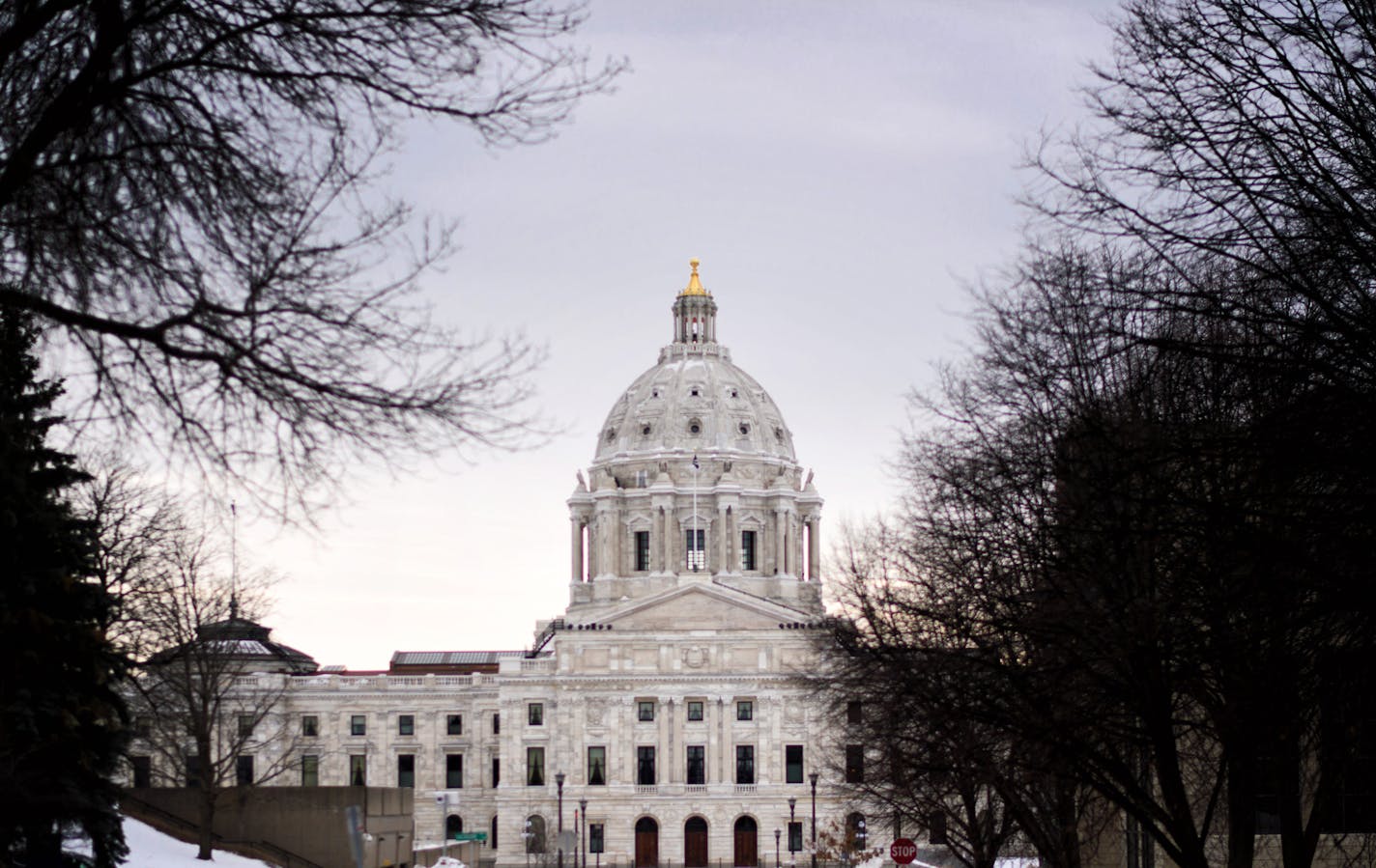 The Minnesota State Capitol. ] GLEN STUBBE &#x2022; glen.stubbe@startribune.com Tuesday, February 13, 2018 The 2018 legislative session will both shape and be shaped by the forthcoming campaign, and a number of candidates for numerous political offices will be in the statehouse mix.EDS, thes eare for pre session preview story on Feb 18 and any appropriate use after that.