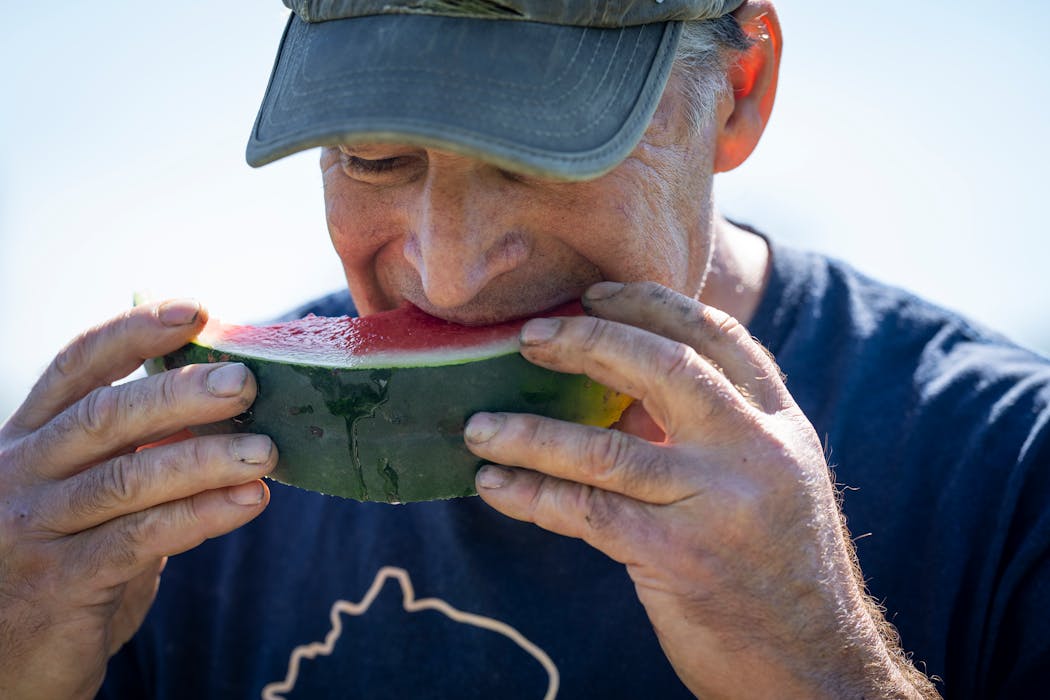 When perfectly ripe, a watermelon often produces a popping sound when cut, said Jeff Nistler, seen tasting the fruits of his labor on his farm earlier this month.