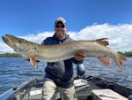 As a muskie guide and owner of Blue Ribbon Bait in Oakdale, Josh Stevenson has pursued Minnesota's biggest sport fish since he was a kid.