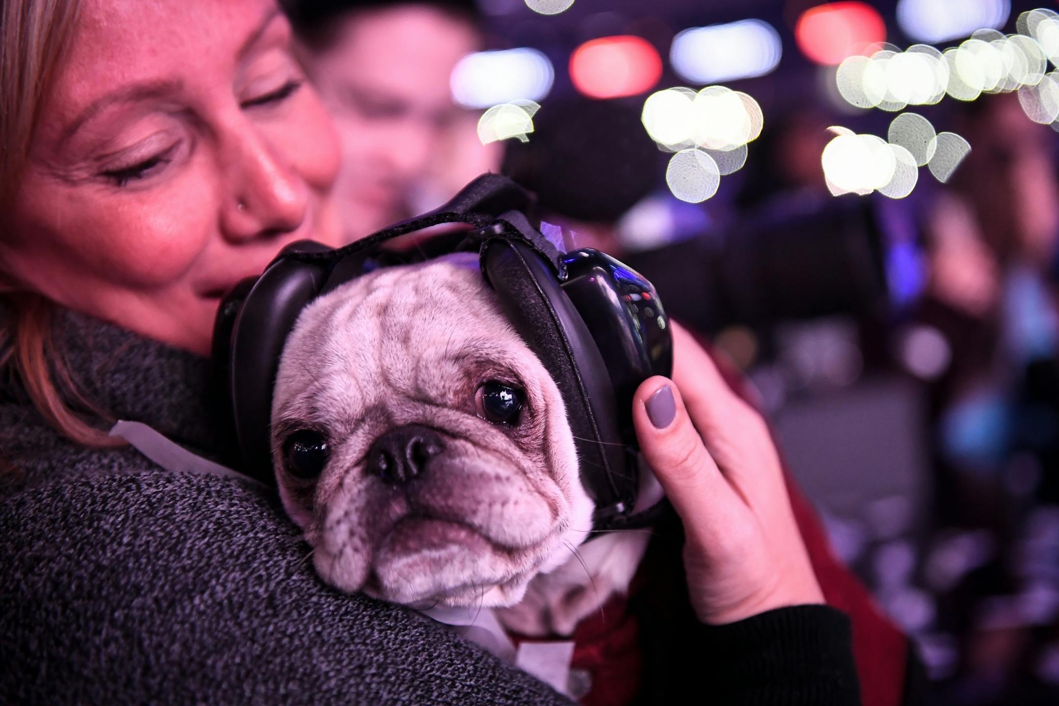 Tina VanderWaal, the mother of performer Grace VanderWaal, held Grace's pug, Frankenstein, as Grace performed at We Day Wednesday. Frankenstein was frightened by the confetti gun.
