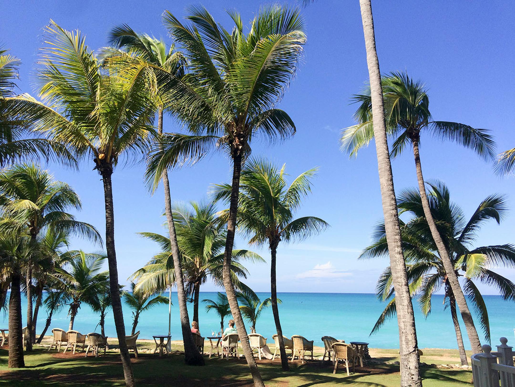 The palm-laded beach outside a Melia resort in Varadero. [ Photos by Amelia Rayno
The Minneapolis Star Tribune