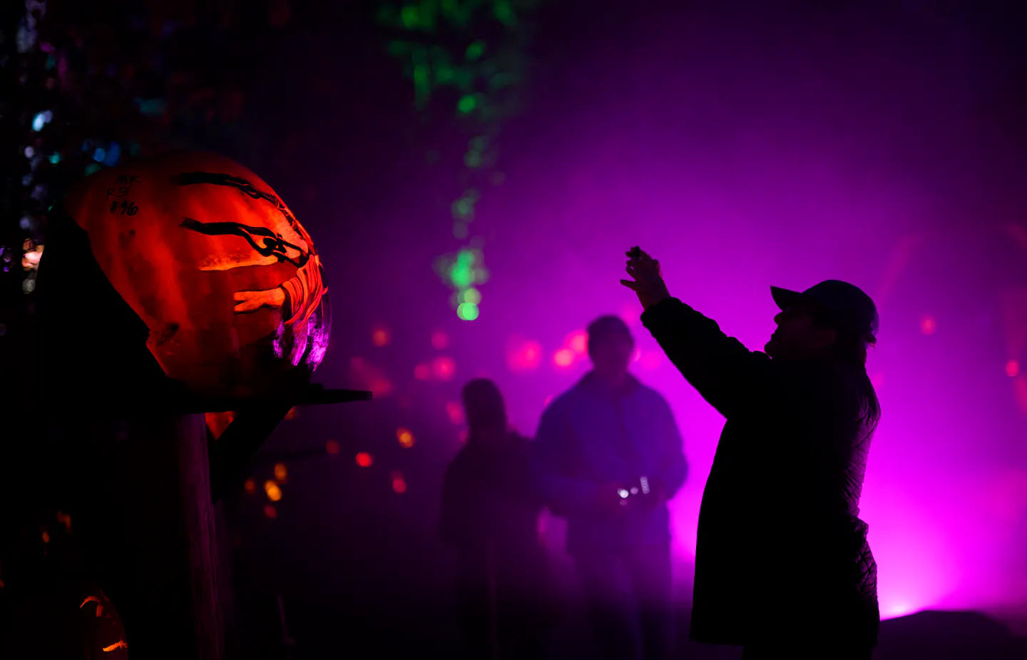 Pumpkins dazzle at Jack-O-Lantern Spectacular at Minnesota Zoo