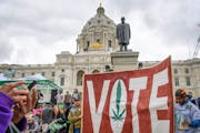 The Minnesota chapter of NORML � the National Organization for the Reform of Marijuana Laws � hosted a six-hour "Cannabis Rise 420 Rally" at the S