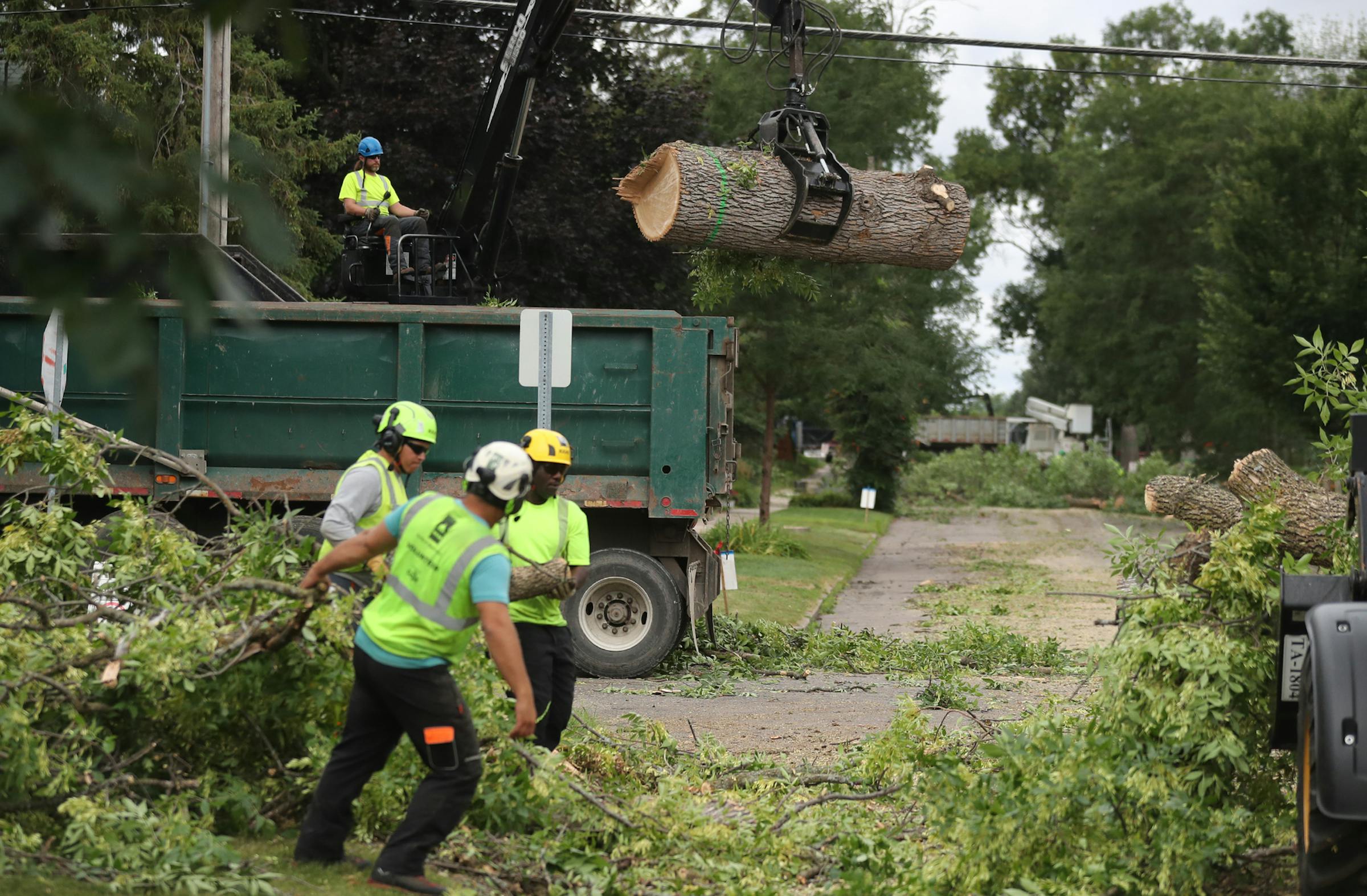 Minneapolis and St. Paul finished removing public ash trees