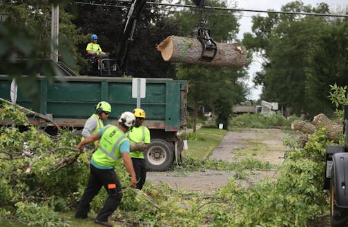 A crew from the St. Paul parks and recreation department removed ash trees along Juno Avenue Thursday, Aug. 2, 2018, in St. Paul, MN.] DAVID JOLES &#xef; david.joles@startribune.com St. Paul cut down more than 10,000 trees infested with Emerald Ash Borer between 2010 and 2017, but replantings haven't kept pace with removals. Data from the city's Parks and Recreation department show that over time, EAB-related plantings have slowed while the number of removals has increased (we're waiting on some