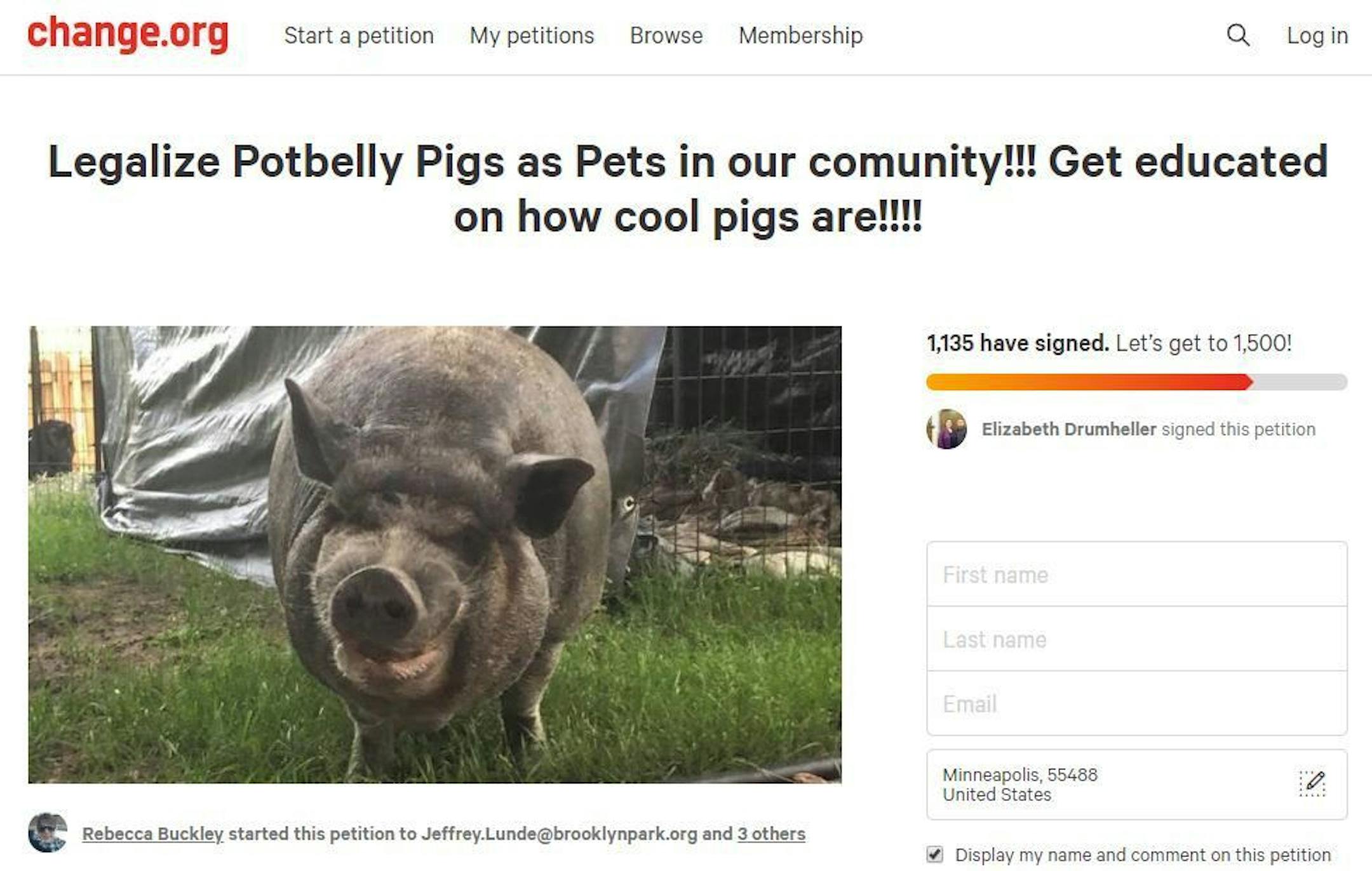 A petition to legalize potbellied pig in Brooklyn Park created by resident Rebecca Buckley.