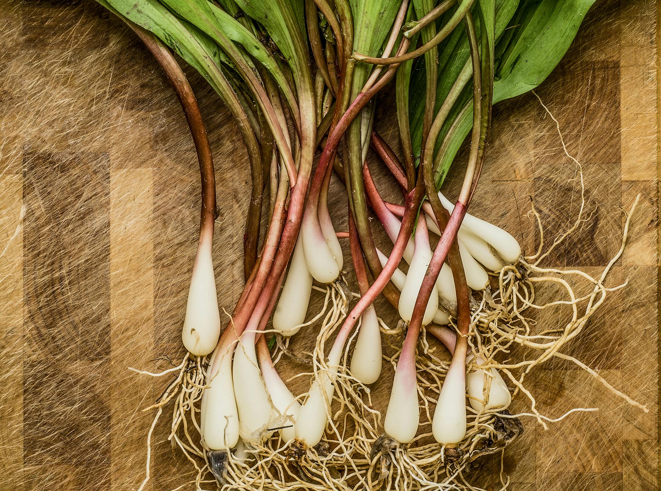 Fresh wild ramps (leeks) on a cutting board