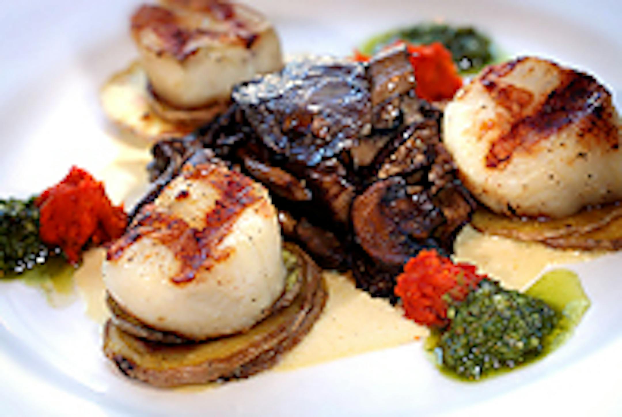 Grilled jumbo scallops, roasted mushrooms, truffle cream, two pestos.