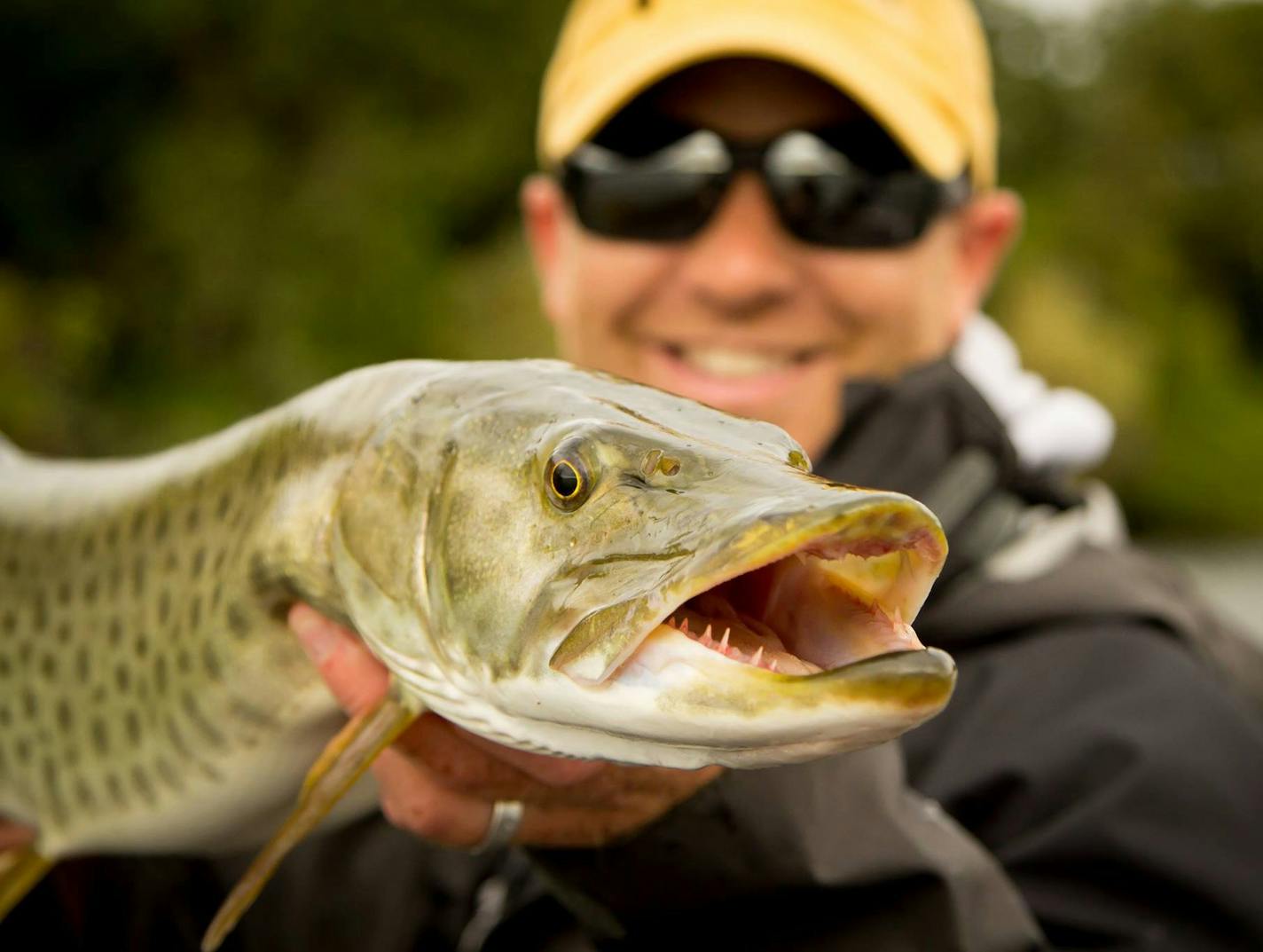 Fishing guide Travis Frank holding a Muskie. (Photo provided by Frank). ] - June 8, 2016, Waconia, MN, Outdoors Weekend, Meeting Muskie angler Travis Frank to fish Lake Waconia