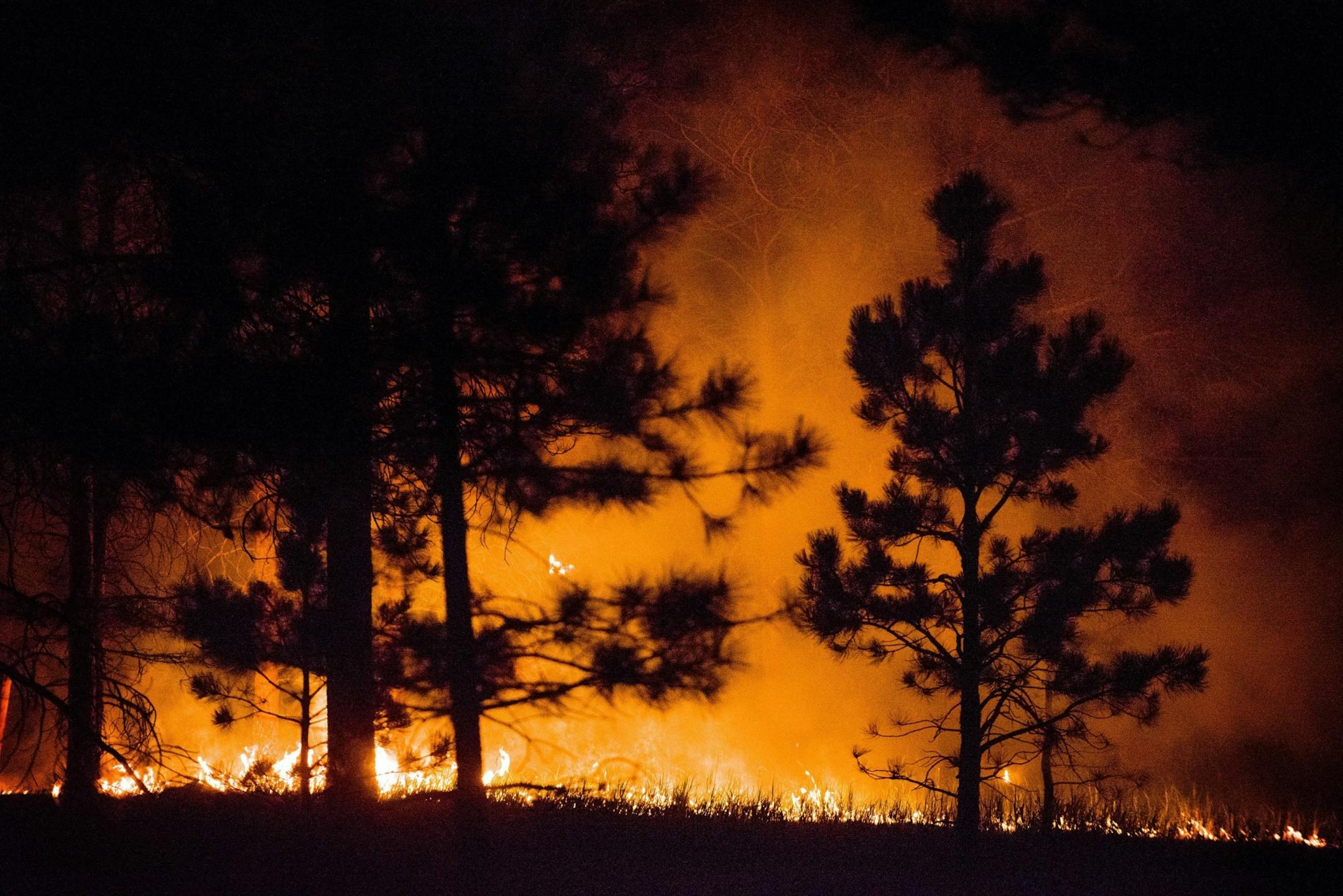 Flames continue to burn off Burgess Road through the night early Thursday morning, June 13, 2013, as crews work to contain the Black Forest fire in Colorado Springs, Colorado.
