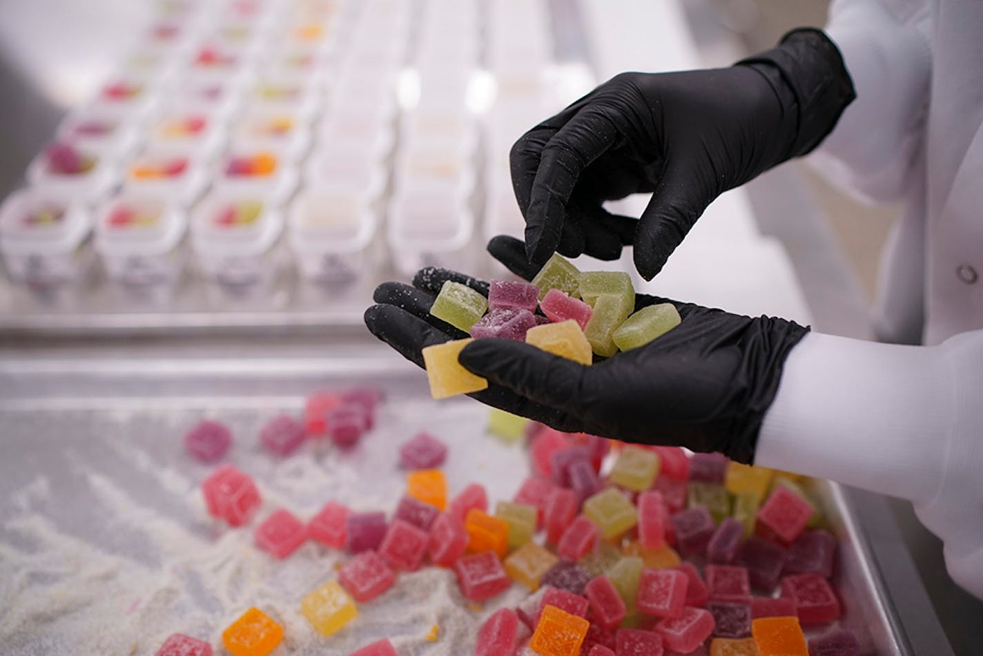 An employee counts out the right assortment of cannabis-infused sour gummies while packaging them at the Wana Brands plant in Boulder, Colorado. ] JEFF WHEELER • jeff.wheeler@startribune.com Wana Brands produces cannabis sour gummies at a plant near their headquarters in Boulder, CO. The plant was photographed Monday afternoon, February 25, 2019.