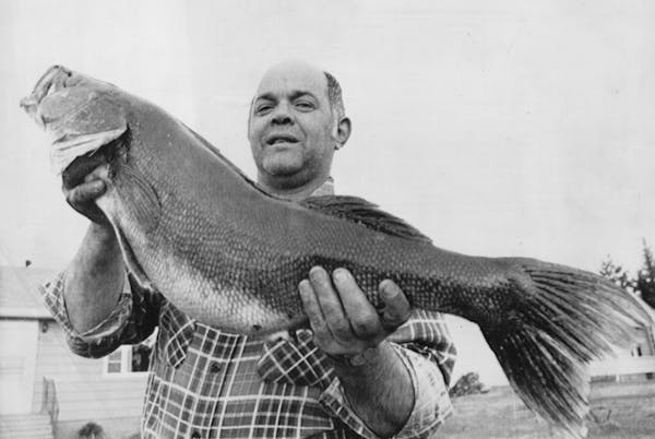 The late LeRoy Chiovitte with his Minnesota state record walleye weighing 17 pounds, 8 ounces.