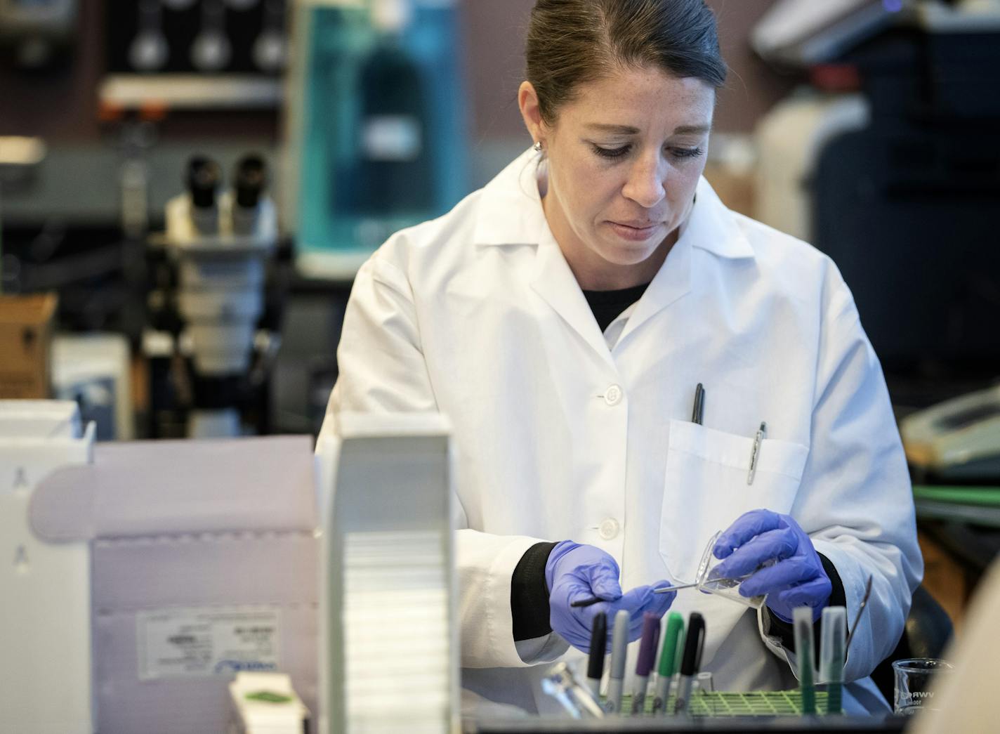 Amanda Vukich a forensic scientist 2 demonstrated a THC purity test at the Midwest Regional Forensic Lab in Andover. ] CARLOS GONZALEZ &#x2022; cgonzalez@startribune.com &#x2013; Andover, MN &#x2013; April 9, 2020, - The Midwest Regional Forensic Lab in Andover is the state's first publicly funded crime lab to test for THC purity to distinguish between hemp and marijuana. Though methamphetamine samples account for most testing at the lab serving Anoka, Sherburne and Wright counties, lab director