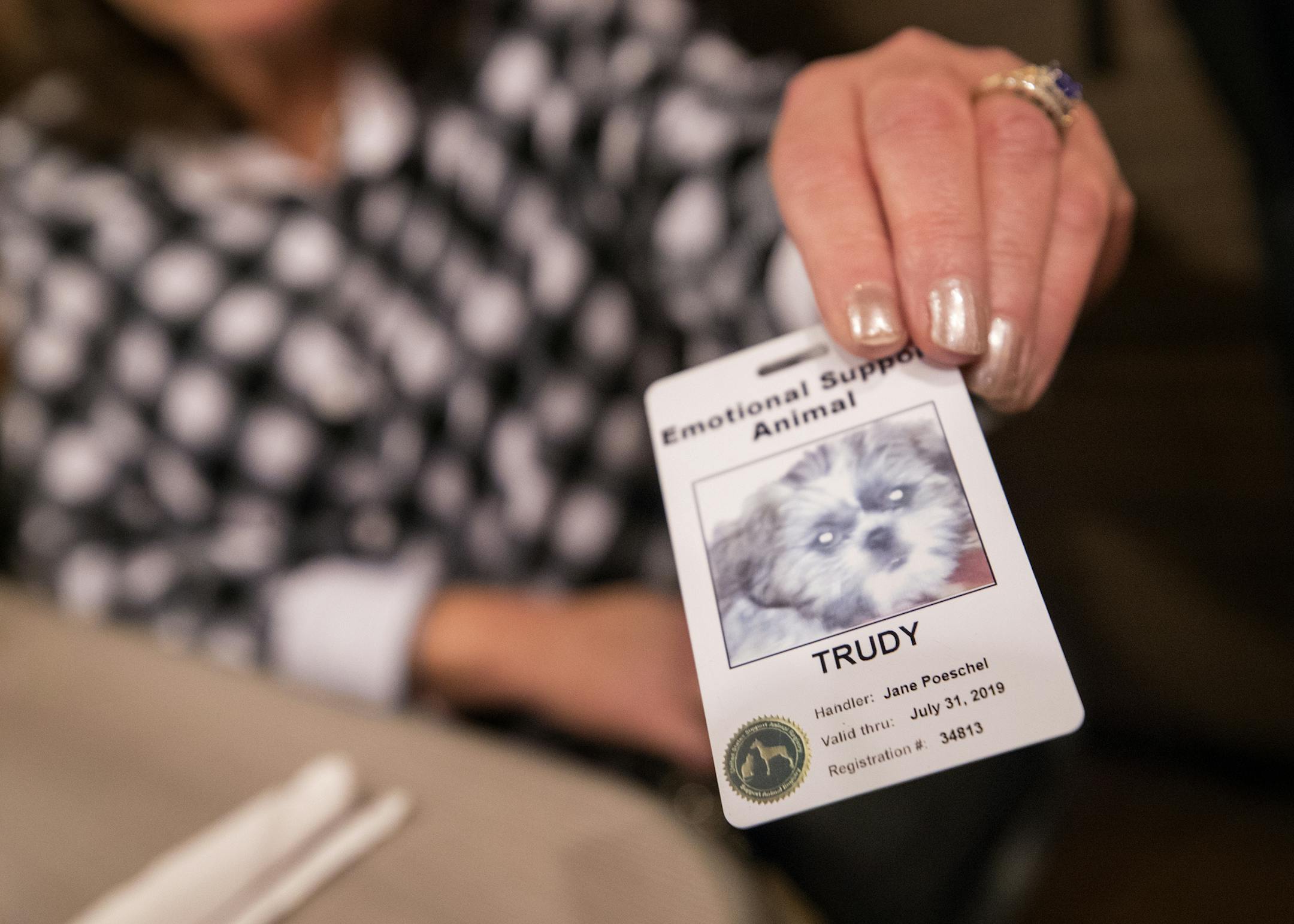 Registration card for Shih Tzu therapy dog Trudy belonging to Jane Poeschel. ] CARLOS GONZALEZ ï cgonzalez@startribune.com - November 2017, Jane Poeschel and her Shih Tzu therapy dog Trudy, the unassuming pair that found themselves in the middle of a federal lawsuit about disability rights and housing discrimination