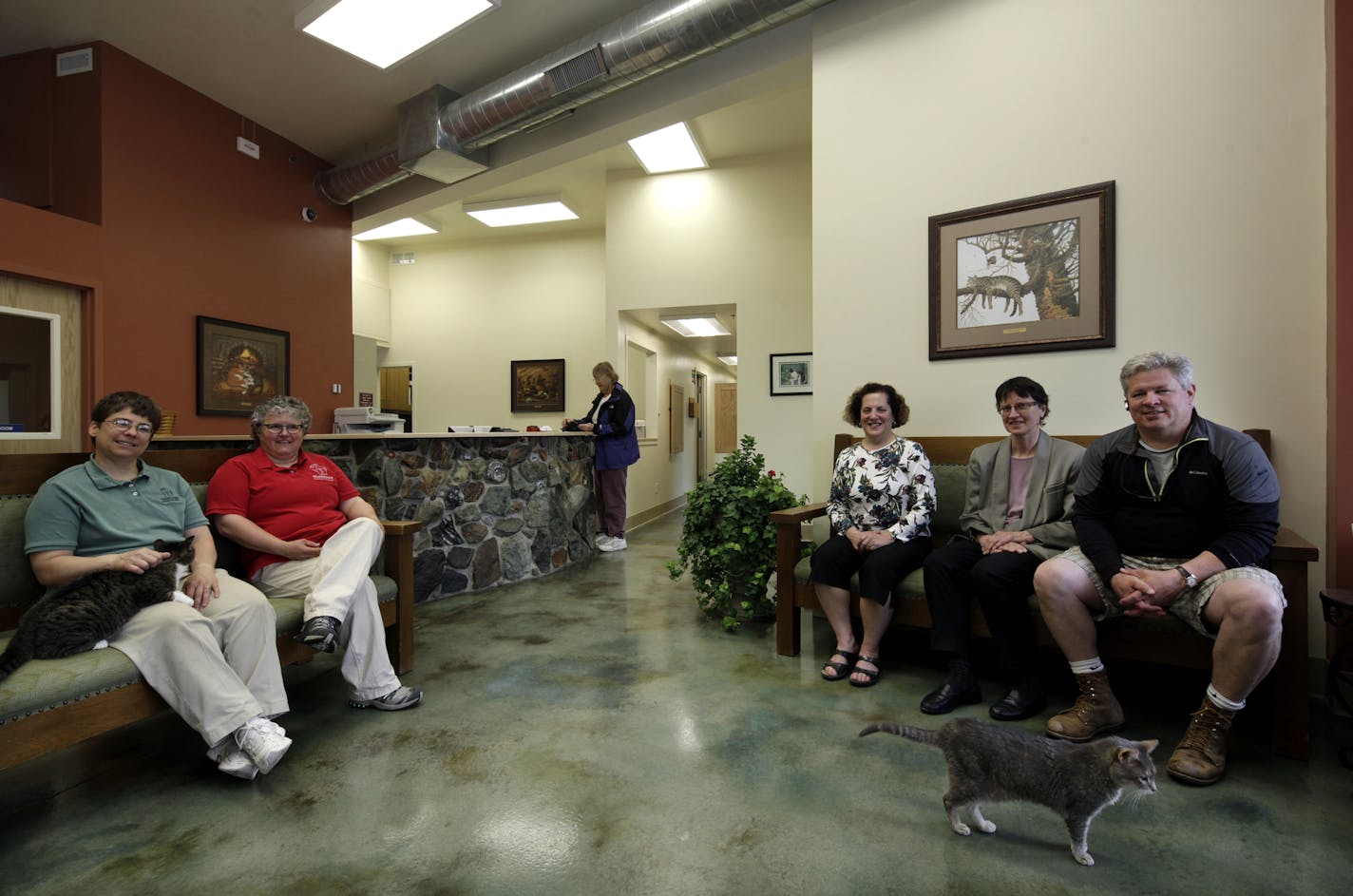 Left to right, Leilani Hotaling and Kaaren Howe, both owners of Minnetonka Animal Hospital, and Marcia Bethke, Mary Jane Heinen and Keith Savaire of Whole Builders in the lobby of Minnetonka Animal Hospital last week. Whole Builders carried out the renovation of the animal hospital in stages.