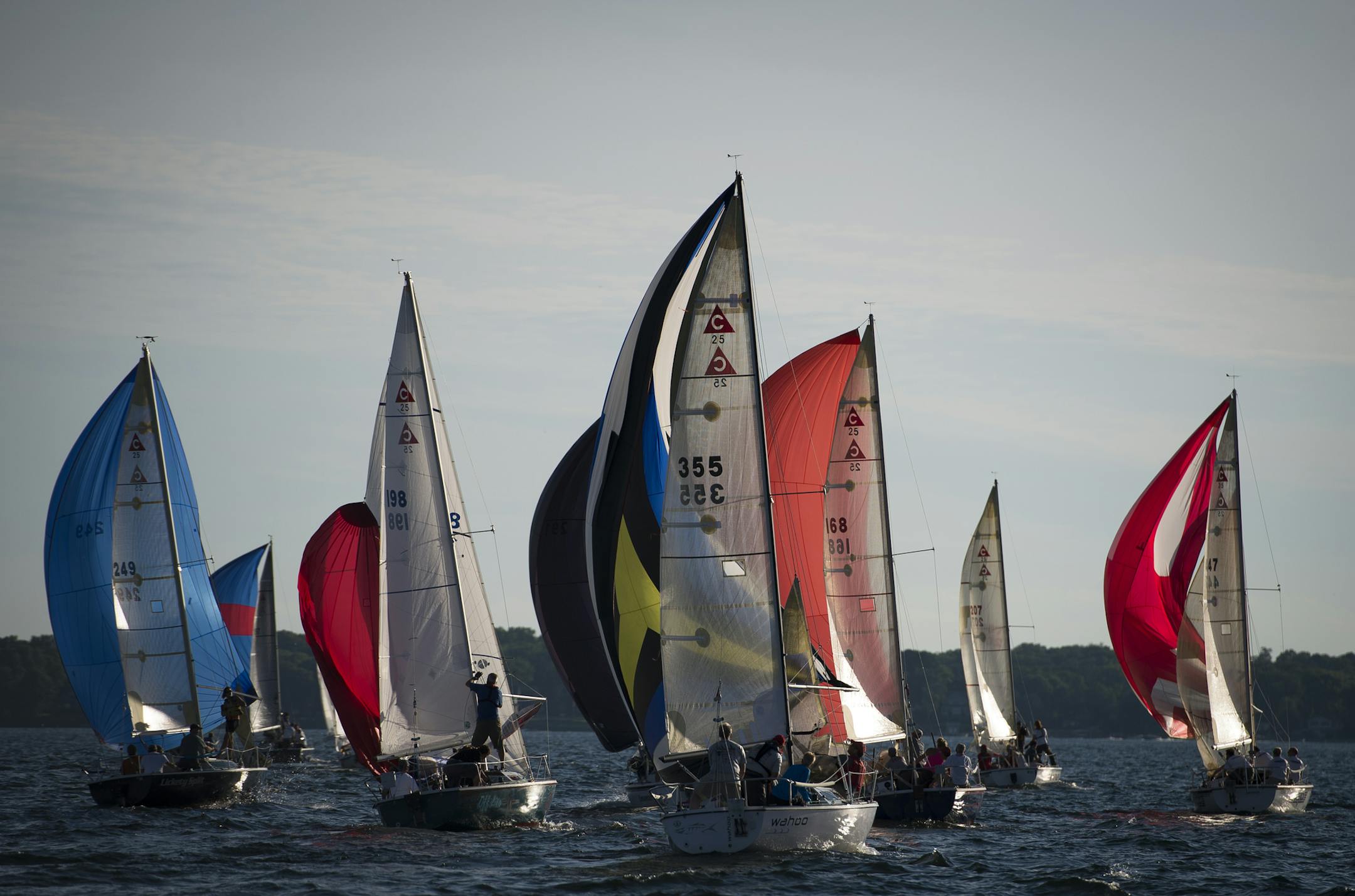 Capri 25 Class sailboats race in Lake Minnetonka on Thursday night. ] Aaron Lavinsky &#x2022; aaron.lavinsky@startribune.com We feature the Wayzata Yacht Club, in its 50th year, and focus on a weeknight of racing involving upward of 200 boats on Lake Minnetonka.