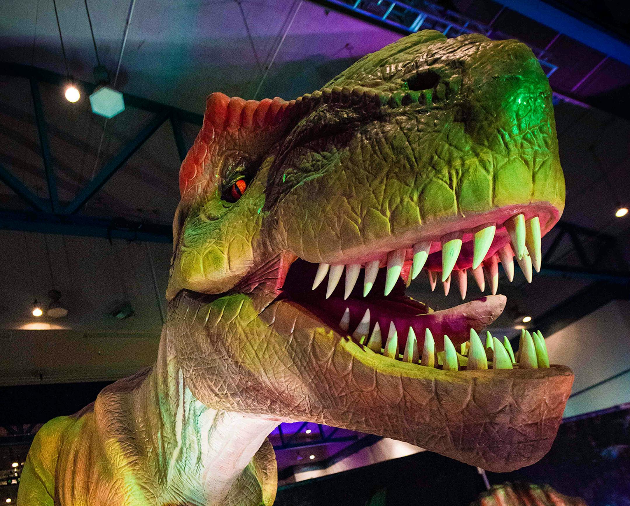 “Discover the Dinosaurs Unleashed!”