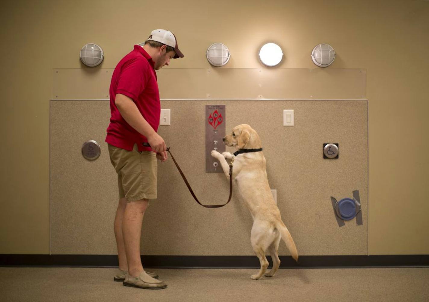 A former Marine from Excelsior who suffered a brain injury in Afghanistan has undertaken a new mission: training assistance dogs. After returning to Minnesota and starting therapy for his injuries, Dan Carbonneau heard about a veterans' organization that helps ease the transition back to civilian life by matching up vets with volunteer organizations that need their help. He's working with Can Do Canines in New Hope. Dan Carbonneau asked Erma, a Golden Lab, to press the elevator call button on th