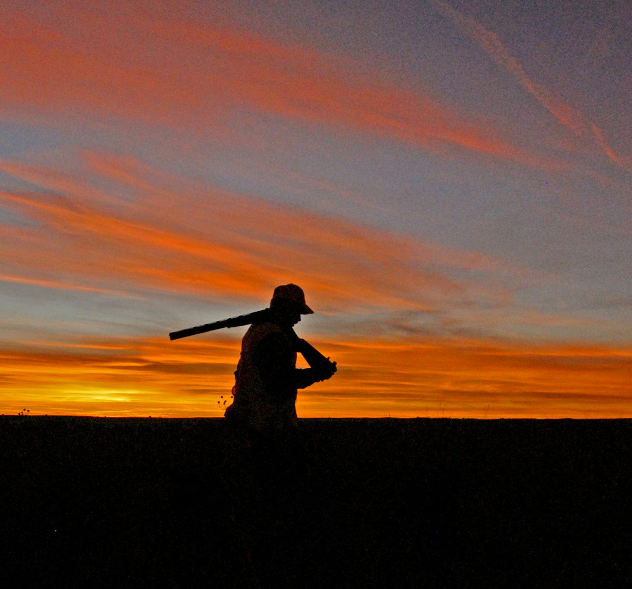 Under extreme pressure now due to high corn and soybean prices, prairies and prairie wildlife ultimately will recover &#x201a;&#xc4;&#xee; and perhaps even thrive &#x201a;&#xc4;&#xee; when their importance is more widely appreciated. ORG XMIT: MIN2013100412232823